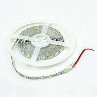 SMD 5050 Premium