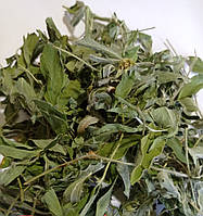 Трава П'ятипалу (сушена) 1 кг