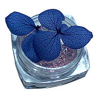 Прикраси для нігтів сухоцвіти сині + скляні стрази