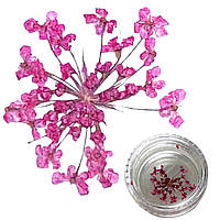 Декор для нігтів Сухоцвіти рожеві