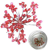 Декор для нігтів Сухоцвіти червоні