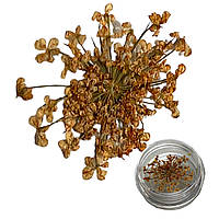 Декор для нігтів Сухоцвіти помаранчеві