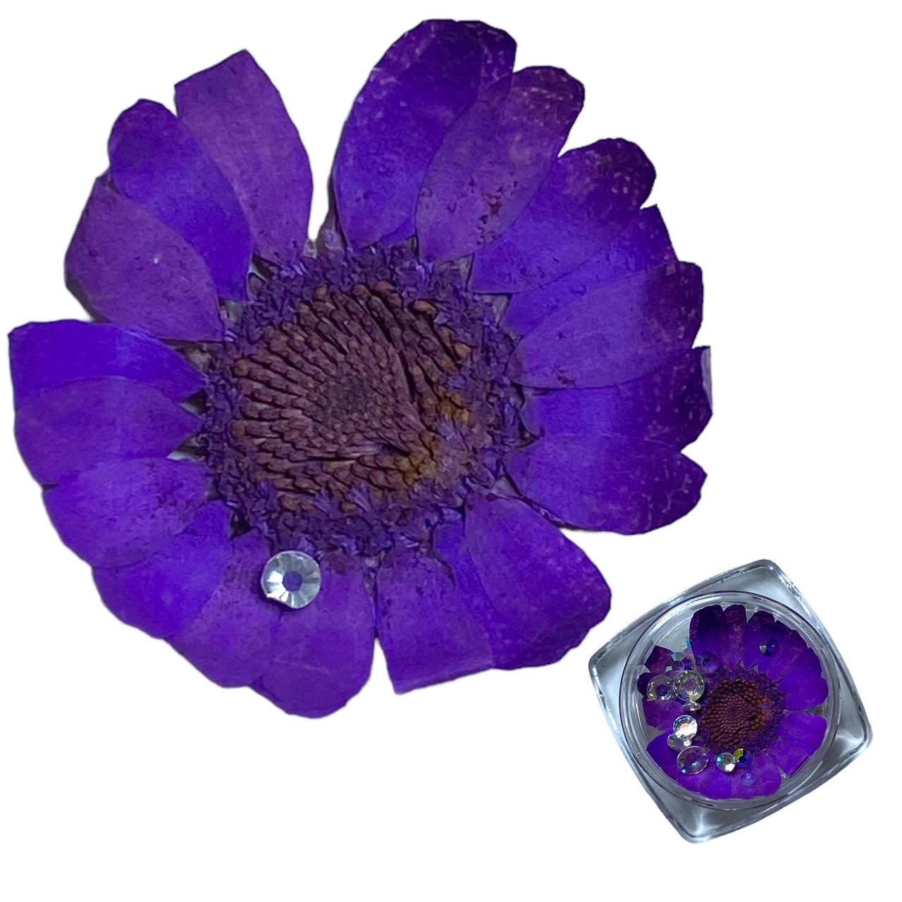 Сухоцвіти фіолетові для дизайну нігтів + каміння
