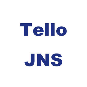 Брюки чоловічі Tello
