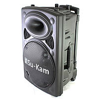 Акустична система Su-Kam BT 150D (2 мікрофони, 12В/220В)