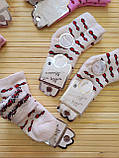 Шкарпетки махра "ALEYNA" для новонароджених 0/6 міс.; Опт. Туреччина, фото 2