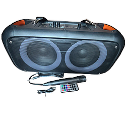 Акустична система RX-6248C (6,5"x2) (20 W) (Провідний мікрофон) (3000mAh) (Пульт)