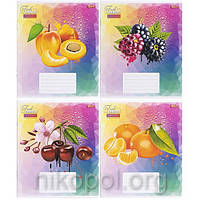 Зошит шкільний 24 аркуша лінія, серія "Соковиті фрукти", білизна 100%