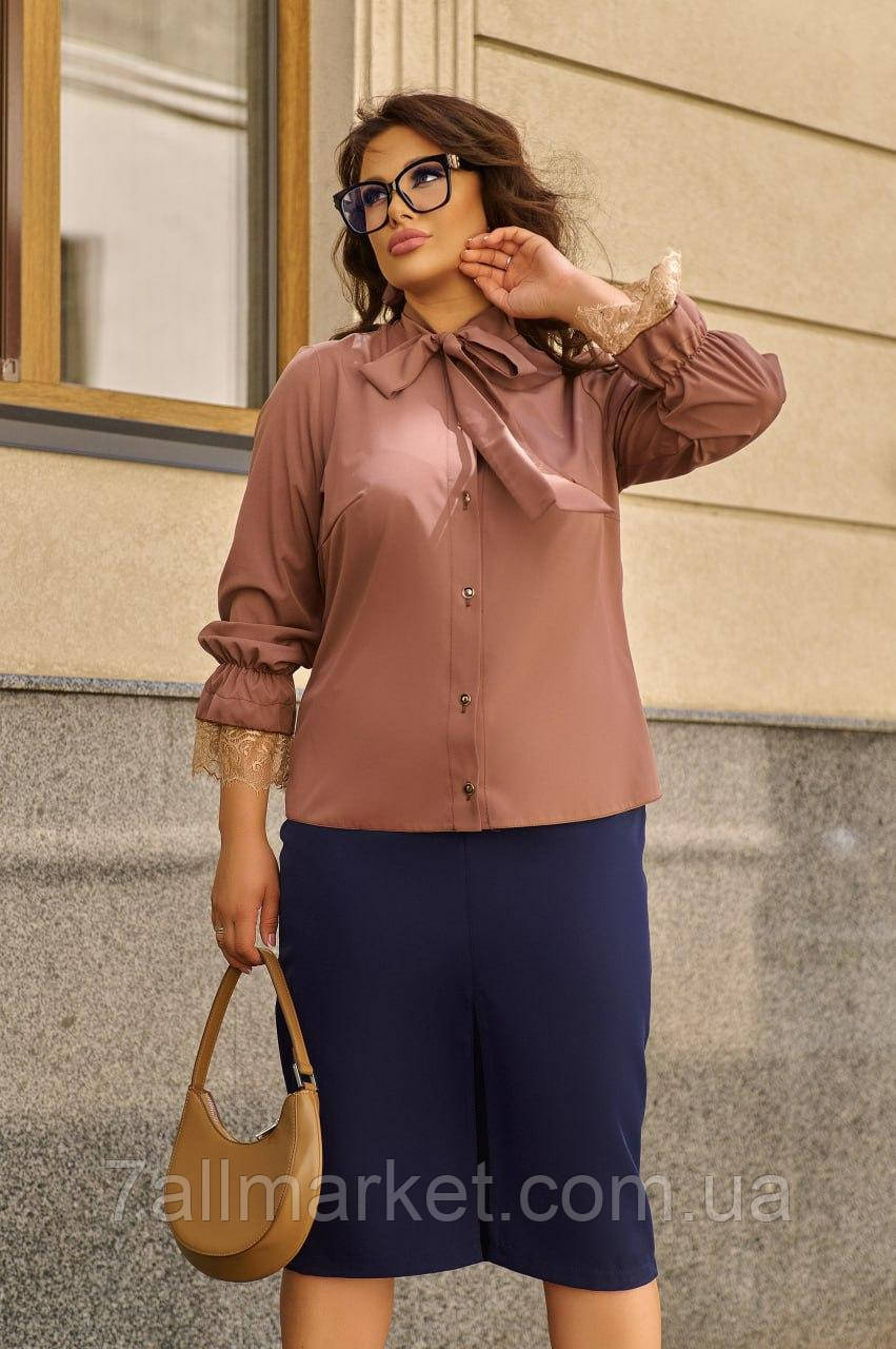 Блуза жіноча софт (48-62) (2кв) "BELUZA" недорого від прямого постачальника