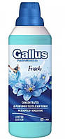 Кондиціонер для білизни Gallus Fresh Spring 1000 ( 40 стірок )