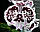 Уцінка Орхідея без квітів. Сорт CYM50 горщик 2.5, фото 2
