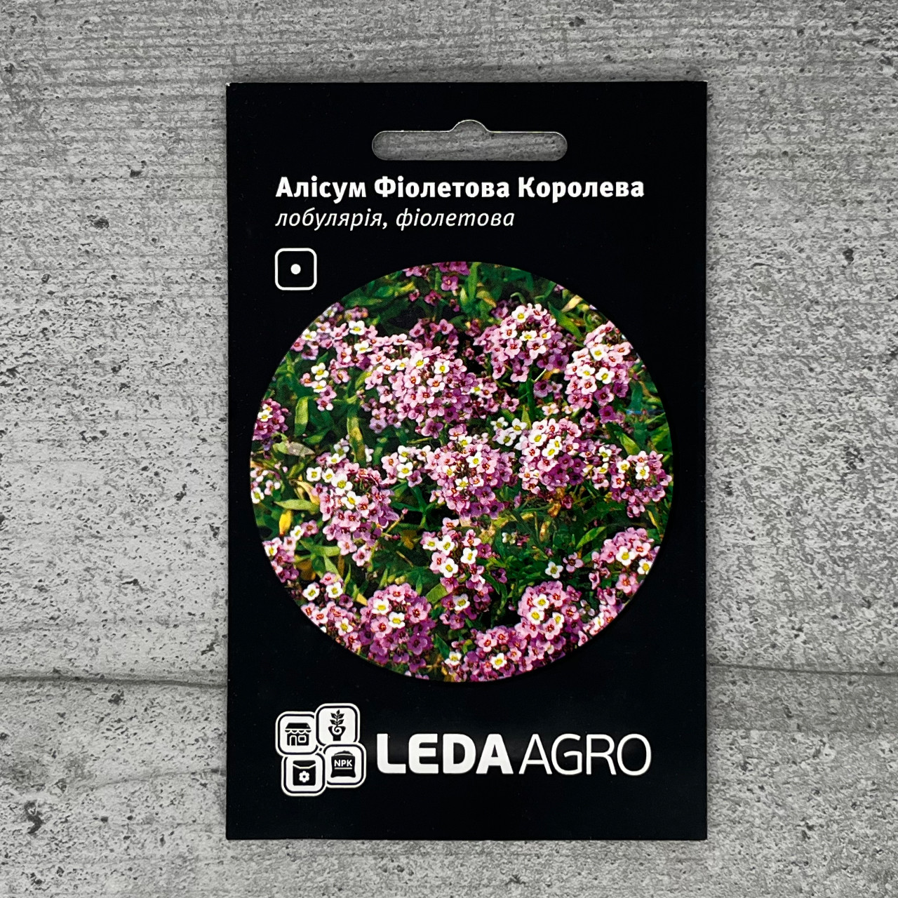 Алісум Фіолетова королева 0,2 г насіння пакетоване Leda Agro