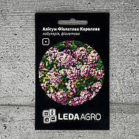 Алисум Фиолетовая королева 0,2 г семена пакетированные Leda Agro