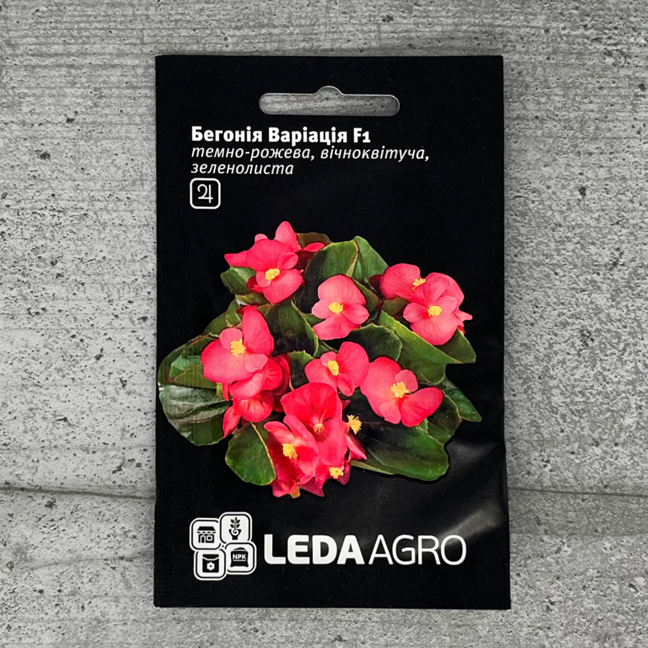 Бегонія Варіація 10 шт насіння пакетоване Leda Agro