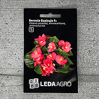 Бегония Вариация 10 шт семена пакетированные Leda Agro