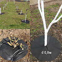 Приствольный круг d 0.8 м из агроволокна П - 70 г/м.кв.