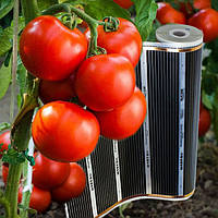 Інфрачервоний килимок-сушарка 50х50 (сушарка для фруктів, грибів, ягід, підігрів розсади), 50 Вт