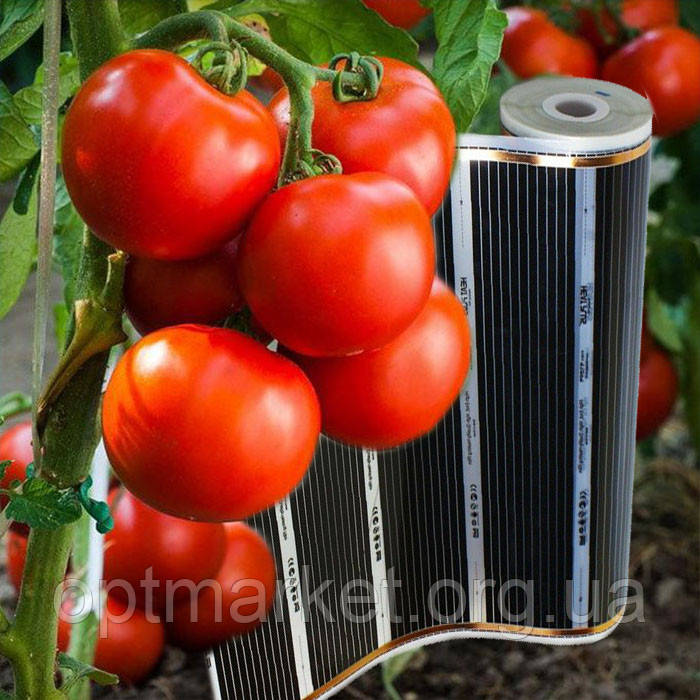 Інфрачервоний килимок-сушарка 50х50 (сушарка для фруктів, грибів, ягід, підігрів розсади), 50 Вт, фото 1