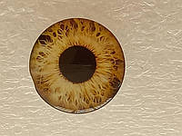 Глаза для Блайз (Blythe), стекло. №s-04ч Клеевые. Диаметр 14 мм