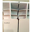 Біметалевий радіатор опалення Fondital Alustal 500/100 (4 секції), фото 2