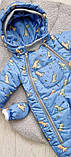 Дитячий демісезонні комбінезон Діно 68 74 80 розмір для діток від 0 до 18 міс, фото 5