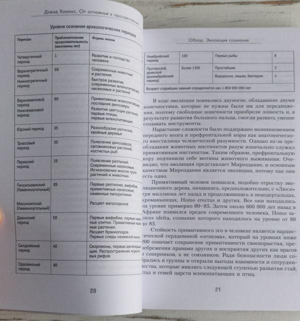 Книга Хокинс Д. "От отчаянья к просветлению. Эволюция сознания" - фото 7 - id-p1913450160