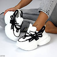 Крутые дизайнерские черно-белые женские кроссовки сникерсы на утолщенной подошве