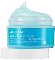 Mizon Water Volume EX Cream Увлажняющий крем для лица (546371-2)