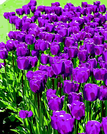 Картина по номерам Бузкові тюльпани 40*50 cm ART Line, фото 1