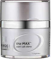 Ночной антивозрастной крем для лица - Image Skincare The Max Stem Cell Cr?me (636455-2)