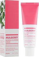 A&#39;pieu Mulberry Blemish Clearing Cream Крем для проблемной кожи лица (757873-2)