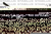 STABILUS Амортизатор багажника, F=500N, L=57.25см, H=20.1см STABILUS 8127KE ,AUDI 80 Avant (8C, B4), AUDI 80