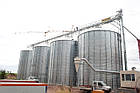 Металеві силоси для зерна з плоским і конусним дном, Німеччина, фото 4