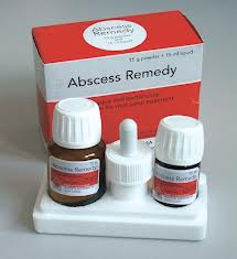 Материал для лечения корневых каналов abscess remedy - фото 2 - id-p3239424