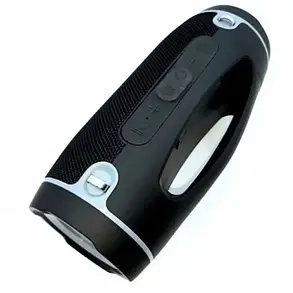 Bluetooth Колонка Hopestar H45 Party black, фото 2