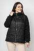 Куртки короткі жіночі демісезонні великі розміри 46-58 темно-синій, фото 4