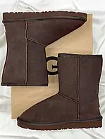 Ugg Classic Short UGG Classic Short Brown Mocha (Распродажа) 40 m