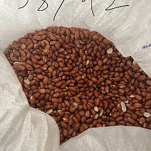 Мешок Арахиса красного 38/42 - 50 кг, фото 2
