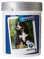 Ceva Pet Phos Croissance Ca/P=2 Special Grand Chien добавка для больших щенков, кормящих сук, 100 таблеток