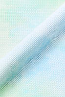 Aida DMC 14 ct. з малюнком №747