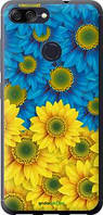 Чохол на Asus ZenFone Max Plus M1 ZB570TL Жовто-блакитні квіти "1048u-1361-18101"