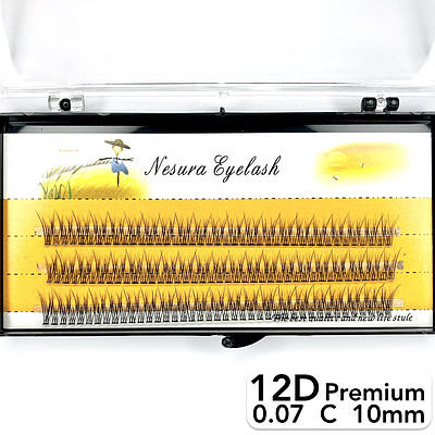 Накладні пучкові вії Nesura Eyelash Premium 12D, 0,07, C, 10 мм, 120 пучків Несура Ластівка