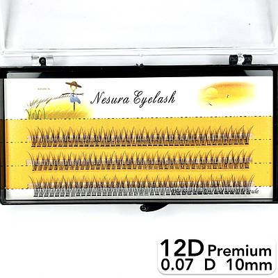 Накладні пучкові вії Nesura Eyelash Premium 12D, 0,07, D, 10 мм, 120 пучків Несура Ластівка