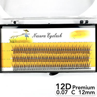 Накладні пучкові вії Nesura Eyelash Premium 12D, 0,07, C, 12 мм, 120 пучків Несура Ластівка