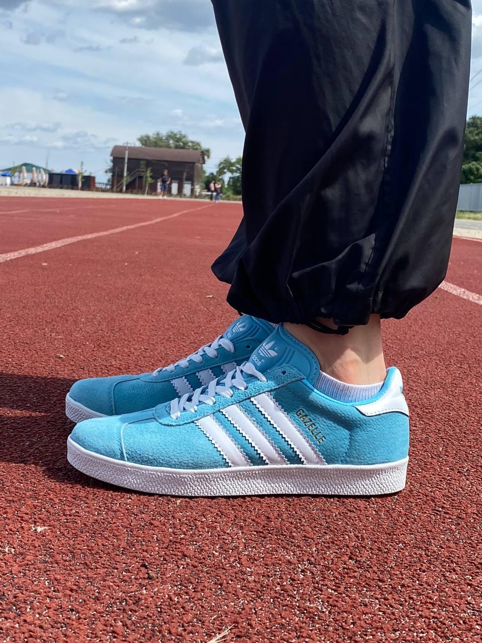 Adidas gazelle blue and red online