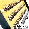 Накладні пучкові вії Nesura Eyelash Dark 12D, 0,10, C, 8 мм, 120 пучків Несура Ластівка, фото 3