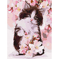 Картина по номерам "Пухнасте кошеня"