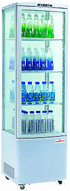 Шафа холодильна RT235L, black FROSTY 515x485x1690 мм (000005255)