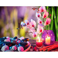 Алмазна мозаїка "Час релаксу" у рулоні 30х40 GB72687