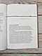 Рахав. Незасоромлена. Жінка віри (серія Родовід благодаті), фото 3